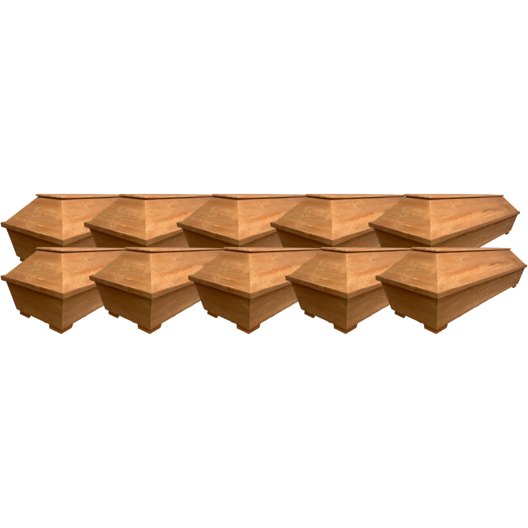 Palettenset V2 Pappel